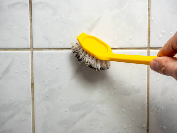 Best Mold Testing and Removal  in Richmond, MI